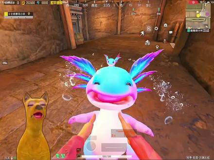 碰到彩色小鼻嘎的哥哥