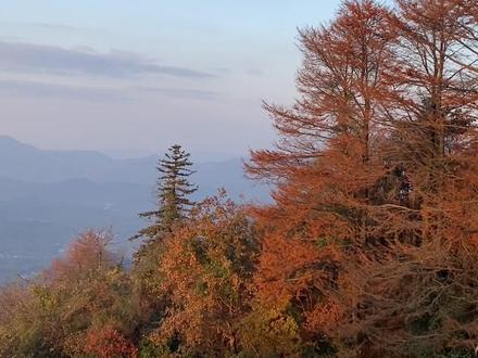 四明山森林公园vs四明山地质公园 哪个更好玩呢?#四明山 #江浙沪周边游 #亲子游玩好去处 #感受大自然的气息和美景 #登上山顶看美景