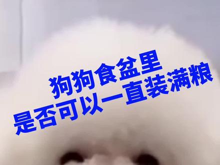 你家的狗狗食盆里是否一直都是满满的狗粮,等它饿了就自己去吃#宠物#热门抖音小助手