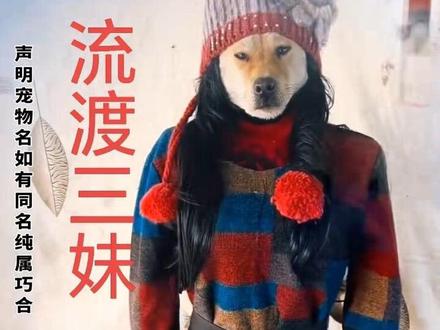 感觉我家狗狗黎刚相得不是很满意哟,这两天打PK输了,下个视频再给大家更新滚田吧#狗子的迷惑行为 #狗子的智商有多迷