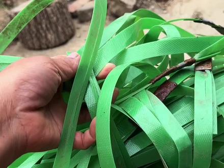 用打包带编了一个电动车后背储物筐,平时出门买菜,放充电器,快递,放随身小物件都特别方便,喜欢手工的姐妹们也可以试一试编一个#编篮子 #手工编织零基础教学 #手工教程
