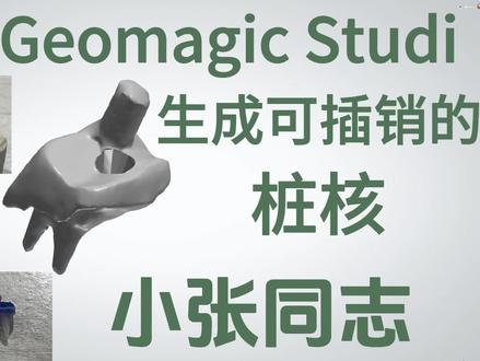 用Geomagic Studi 生成可插销的桩核 @DOU+小助手