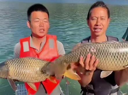 天塌了啊#户外钓鱼 #擒龙诀荒野挨饿王大鱼挑战赛@莽莽克拉斯 @荒野 白条林