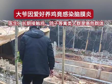 大爷因爱好养鸡竟感染脑膜炎,医生:接触鸡、鸽子等禽类的人群是高危群体