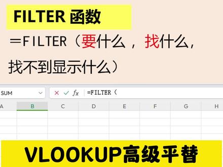 FILTER函数和VLOOKUP 函数使用技巧#excel技巧 #会计 #干货分享 #教程