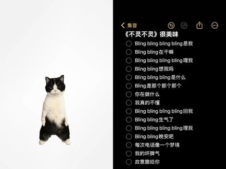 在干嘛也要跟我报备一下啊(>_<)#布灵布灵 #无声卡#不灵不灵伴奏 #铃声