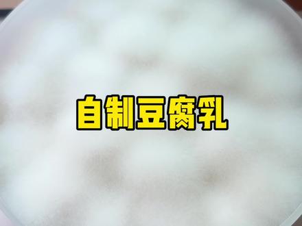 第一次自制豆腐乳,居然成功啦#豆腐 #自制豆腐乳 #豆腐乳的家常做法 #太下饭了