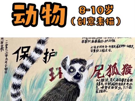 10岁+孩子的创意课程《保护濒危动物海报设计》#创意美术 #少儿美术 #艺术培训 #少儿美育