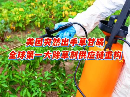 美国突然出手草甘磷,全球第一大除草剂供应链重构的核心逻辑和核心概念股梳理#每天跟我涨知识 #三农 #打农药 #农业科技 #正能量传递