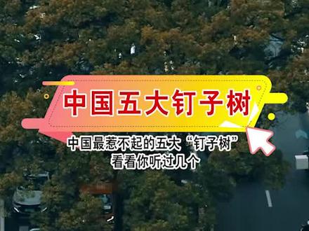 中国最惹不起的五大“钉子树”,有的竟有上千年历史,看看你知道几个#钉子树 #自然奇观 #旅行大玩家