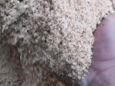 一吨锯末380,做成#木炭 价格翻一番,快来算算你家的废旧料锯末能做多少吨木炭#机制炭 #木炭设备 #卧式碳化炉