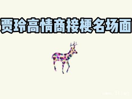 盘点贾玲高情商接梗名场面,逗得现场嘉宾一愣一愣的,情商太绝了