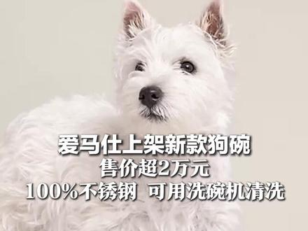 爱马仕上架新款狗碗 售价超2万元 100%不锈钢 可用洗碗机清洗 上架不久即售罄