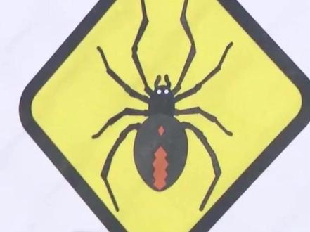 驻日美军基地发现大量毒蜘蛛 3个月间出现超3500只! 疑通过美军用飞机"侵入"日本 日政府:尽快清除!防止扩散!此前该基地还被曝污染附近水体 #驻日美军基地发现大量毒蜘蛛