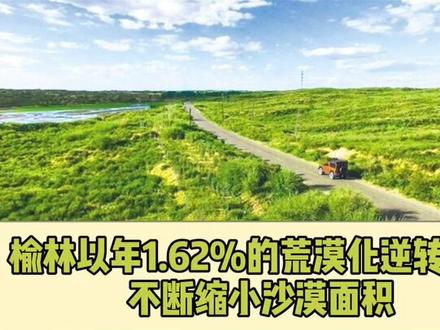 退沙还林!毛乌素沙漠即将从陕西版图“消失”