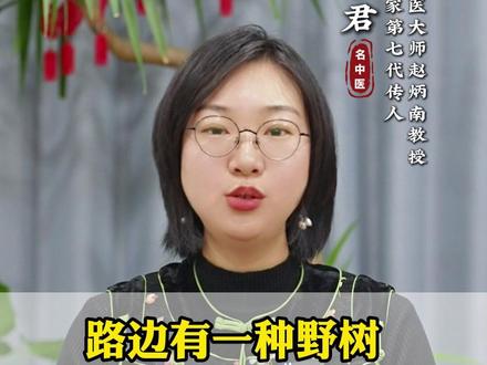 路边有一种野树,是补肾的好宝贝,80%的人都不认识 #抖出健康知识宝藏 #中医