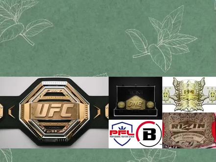 为什么大型mma赛事只有UFC和one冠军赛在国内直播?#one冠军赛 #ufc #综合格斗