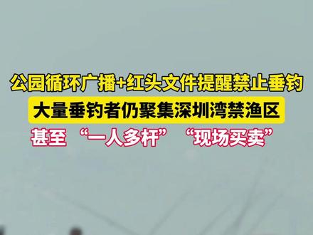 深圳湾公园有大量“钓鱼佬”在禁钓牌前甩竿,禁渔区竟成“海钓一条街”,一人多竿现象更是普遍。