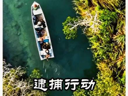 抓捕森蚺刻不容缓 #保护动物 #纪录片 #青年创作者成长计划