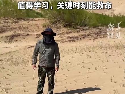 如果你在沙漠或野外迷路,如何用小木棍辨别方向?值得学习,关键时刻能救命!