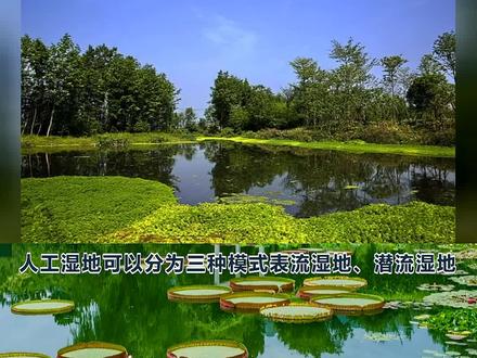 人工湿地 设计 #垂直潜流人工湿地结构图 #水平潜流人工湿地结构图