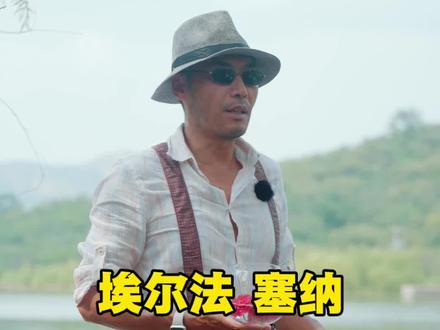 丰田埃尔法塞纳谁更好 #丰田#埃尔法#塞纳#雷尔法##格瑞维亚