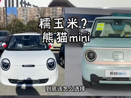 小的 纯电代步车,长安糯玉米和吉利熊猫mini#吉利熊猫mini #长安lumin #新能源领航计划