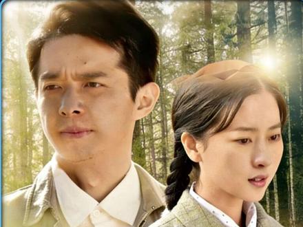 塞罕坝最狠护树人!被人围殴暴打,醒来第一件事竟是给树包扎! #最美的青春