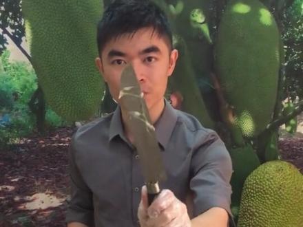 切开菠萝蜜,刀和手上都是果胶,要怎么清洗?看视频教你超级简单~#菠萝蜜熟了 #菠萝蜜 #优质农产品 #家乡特产