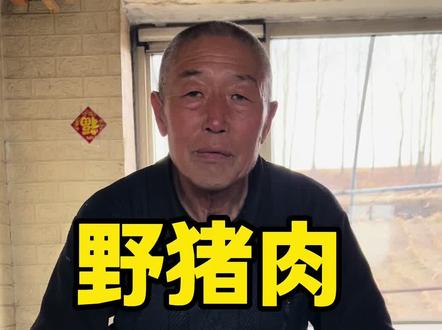 #野猪肉#猎人 传奇猎人讲述野猪肉好吃吗