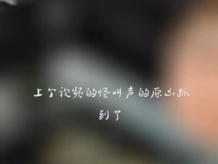 澎涨阀过脏导致弗利昂流经时产生异响!