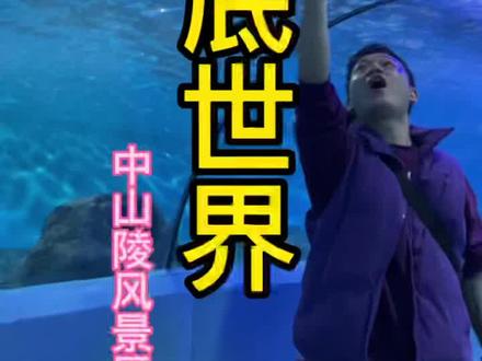 南京海底世界蕞强攻略!11月12日-11月23日单人门票129💰下单当日不可用。门票有效期:11月2日-12月31日#南京海底世界 #南京海底世界停车攻略 #海底世界攻略 #打卡秋天的海底世界 #盘点中国最值得旅行的城市