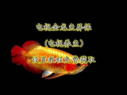 金龙鱼电视屏保下载和设置教程,电视养鱼教程,金龙鱼屏保下载教程,金龙鱼动态壁纸下载,金龙鱼4k超清全面屏。海信电视机屏保龙鱼设置教程,金龙鱼动态壁纸下载免费,TCL金龙鱼电视屏保设置教程,小米电视金龙鱼屏保设置教程,金龙鱼屏保高清4下载教程#电视养鱼教程#电子养鱼#电视屏保#金龙鱼屏保#电视屏保设置教程电视养鱼,电子养鱼。金龙鱼电视屏保教程