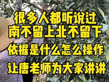 很多人知道南不留上,北不留下,依据是什么?具体怎么操作?#支持三农扶持三农发展 #分享农业知识帮农民增产增收 #新农人计划2023 #抖音助农 #三农