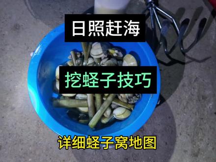 挖蛏子技巧 蛏子洞,蛏子眼,技巧。日照蛏子窝地图#赶海蛏子 #挖蛏子技巧#蛏子 #日照赶海#蛏子窝