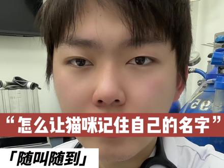 怎么让你家猫咪记住自己的名字 #新手养猫 #猫咪名字