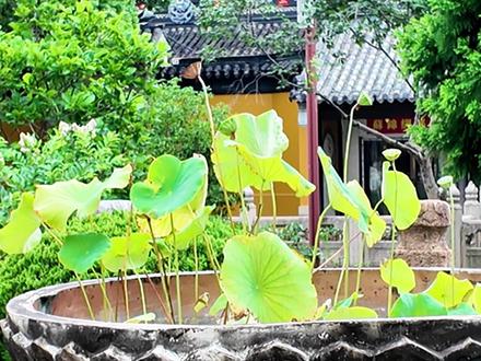 法服和常服有什么区别?