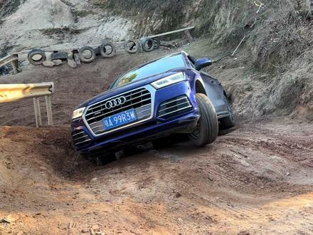 武汉奥迪Q5,挑战成佛坡,这个水平怎么样 #成佛坡