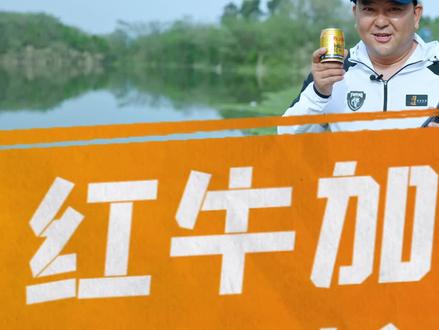 红牛可乐开饵,助你擒大鲤#鲤鱼饵料 #野钓鲤鱼 #野钓