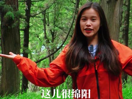 一生一定要来一次世界第一古道#翠云廊 看#千年古树 ,享#森林氧吧 #旅行推荐官 #周边游 @抖音小助手