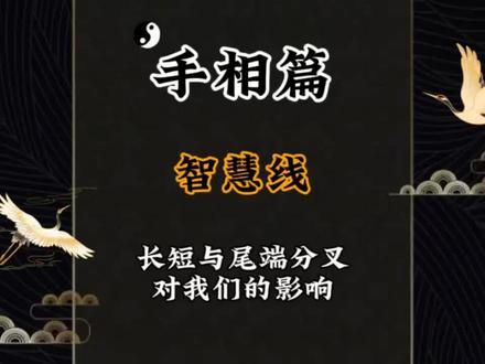 「来半斤」玄学国学知识手相篇智慧线长短与尾端分叉对我们的影响