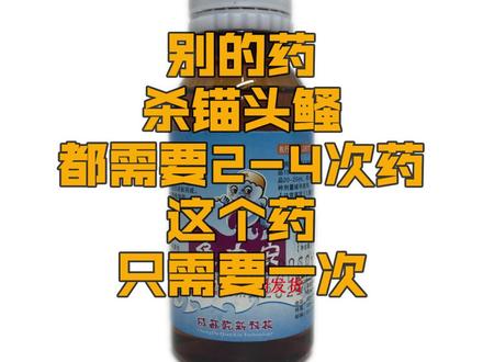 别的药杀锚头鳋都需要2-4次,这个药只需要1次#水产养殖 #养鱼