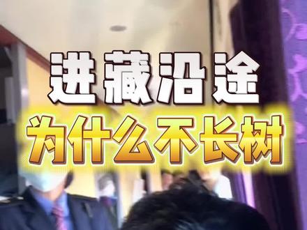 进藏沿途为什么看不到树? #西藏 #青藏铁路 #进藏列车