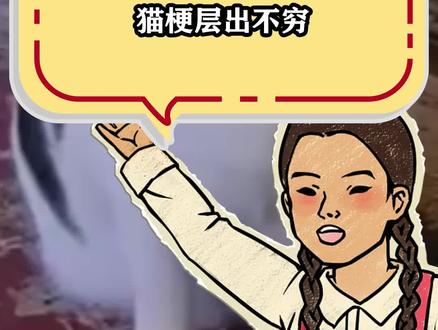 一年的结尾,还是看看猫吧!! #猫猫 #meme #梗