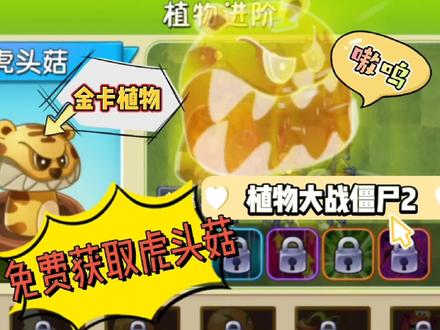 植物大战僵尸2:超人教你免费获取金卡植物虎头菇 #植物大战僵尸2 #pvz2 #虎头菇 #免费攻略来了