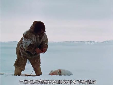 第7集|北极生活的因纽特人为什么不怕冷?春天和夏天是因纽特人的天堂,不用担心挨饿!#纪录片 #因纽特人 #北极 #助眠视频 #纪实纪录片