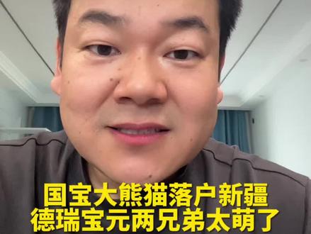 欢迎熊猫兄弟落户新疆,希望你们快乐成长#大熊猫 #德瑞宝元 #新疆