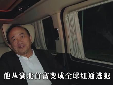 一夜之间,他从湖北首富变成全球红通逃犯 #财经 #商业 #人物故事 #商业故事 #商业思维