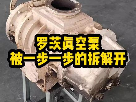 90%的人看过这个视频,都会了怎么维修罗茨真空泵#真空泵 #支持定做各种尺寸 #真空设备 #成套设备 #泵