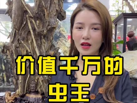 价值百万的一窝树虫,这么多你见过吗? #树化玉 #树化玉摆件 #奇石 #天然奇石 #摆件